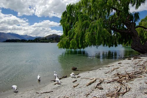 Lake Wanaka on Thursday