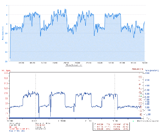 Pace plots from Garmin (top) and Polar (bottom)