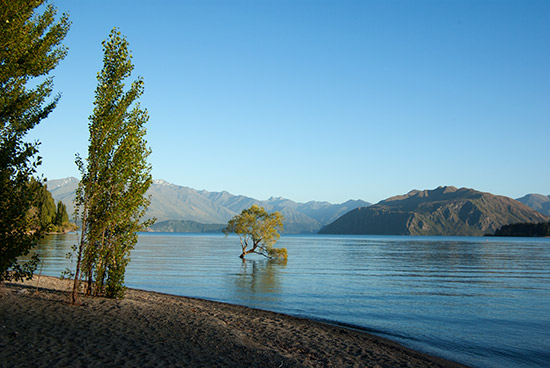 Lake Wanaka