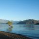 Lake Wanaka